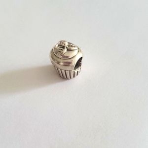 Pandora charm